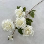 长只5头福字玫瑰 (5)