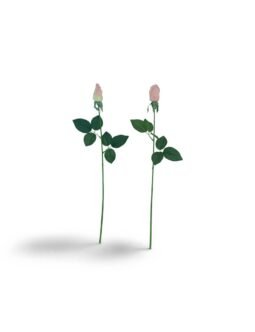 2- head Real Touch Moisturizing Tea Rose (WH-3213)