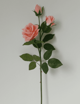 3- head Real Touch Moisturizing Curled Edge Rose (WH-0813)